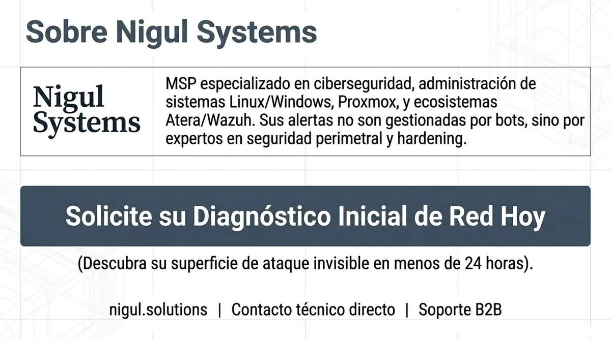 Sobre Nigul Systems — MSP especializado en ciberseguridad